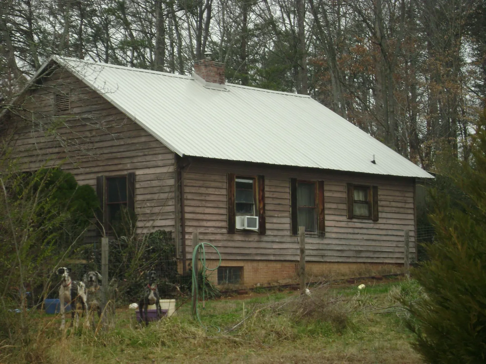 White metal roof on an old wood sided farmhouse, from a Asphalt Shingle Roof Repair job in Scappoose